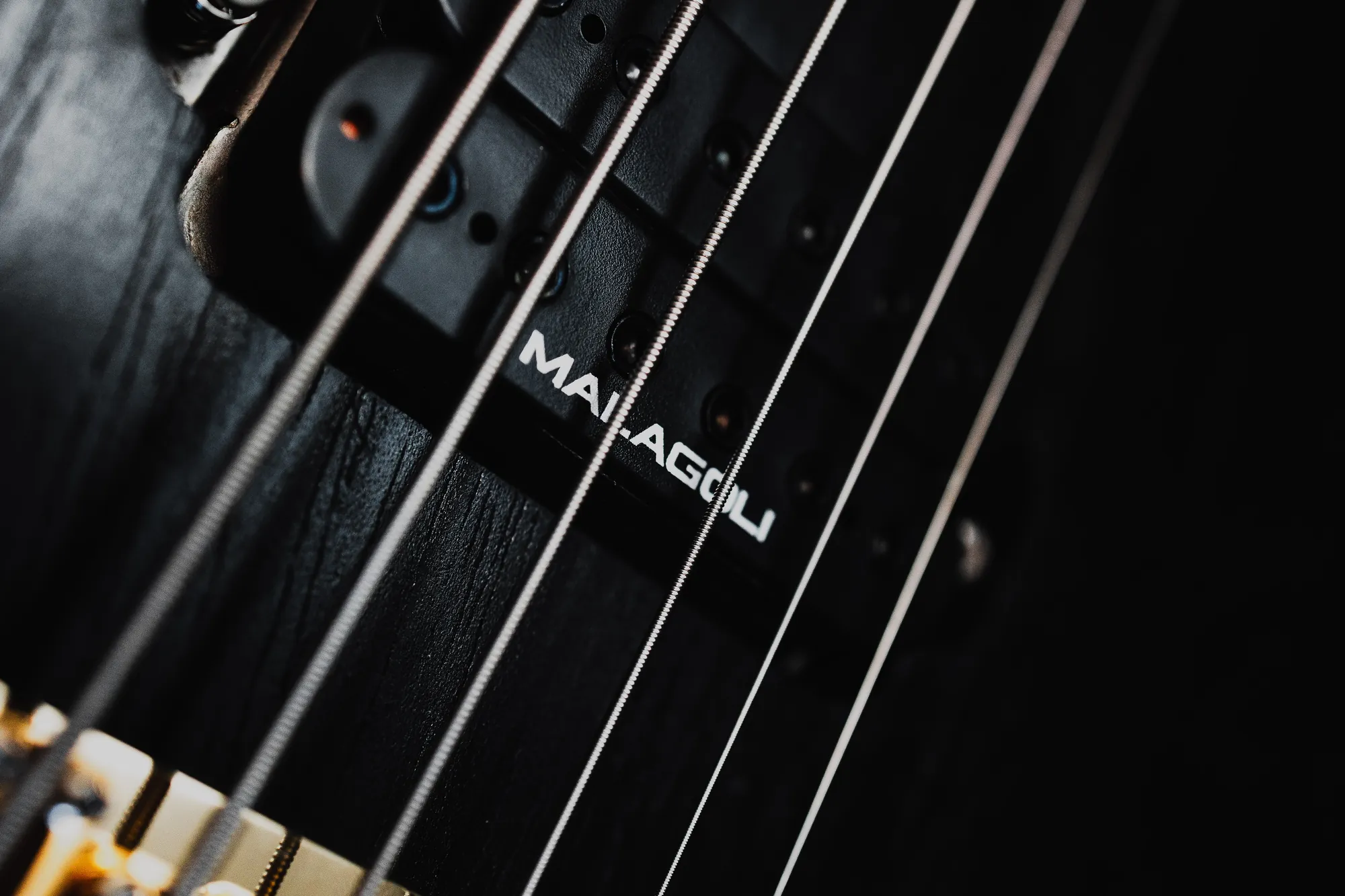 The Malagoli Evo pickup under the strings